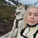 lingusta profile picture