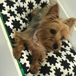 linkdabaddest profile picture