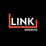linksports_football profile picture