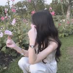 linn_apichaya profile picture