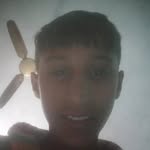 lion.2076994 profile picture