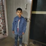 lion.7368017 profile picture
