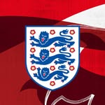 lionesses profile picture