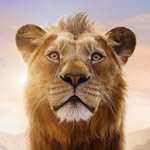 lionking profile picture