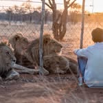 lionwatchprojectsa profile picture