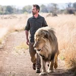 lionwhisperersa profile picture