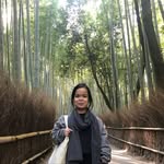 lisadionisio profile picture