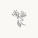 liteweddings profile picture