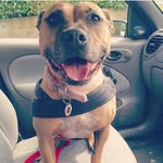 little.lady.bug profile picture