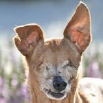 littlebelle1 profile picture