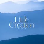 littlecreation profile picture