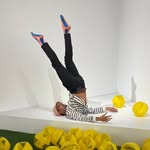 little_exhibition profile picture
