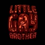 littlegaybro profile picture