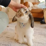 littlemiss.mable profile picture