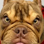 littlemissfurious profile picture