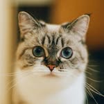 littlemunchiepooky profile picture
