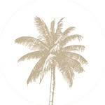 littlepalmisland profile picture