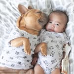 littlepawsandtoes profile picture
