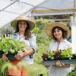 littlerivercooperative profile picture