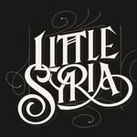 littlesyriashow profile picture