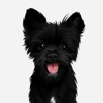 littlewittleace profile picture