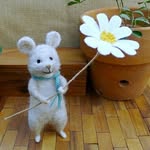 littlewooltails profile picture