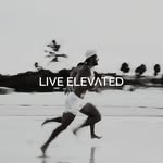 liveelevatedlife profile picture