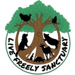 livefreelysanctuary profile picture
