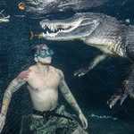 livingwithgators profile picture