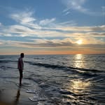 liviu_toma profile picture