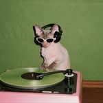 liza_vilchynska_ profile picture