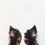 lkyanz profile picture