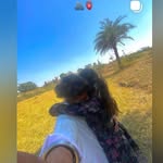 ll__ajuda__46 profile picture