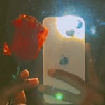 ll___mr__sarkar____ll_85k profile picture