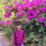 ll_sanjuu_vsv_ll profile picture