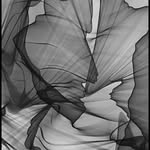 llovely.lolos.decor profile picture
