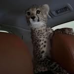 lnurhl profile picture