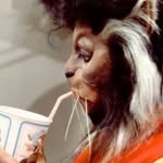 lobobaum profile picture