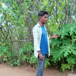 lokendra38493 profile picture