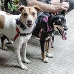 loki.odin.srd profile picture