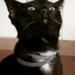 lokiparker2020 profile picture