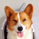 lokistagram profile picture
