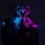 lokitheraven profile picture