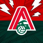 lokovolleyball profile picture
