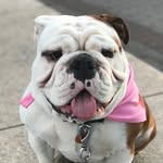 lola.from.queens profile picture