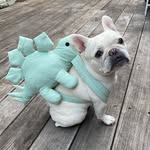 lolabarksdale profile picture