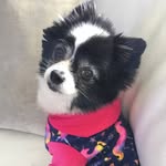 lolacakesnyc profile picture