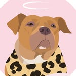lolathepitbullnyc profile picture