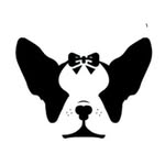 lolipaw_petboutique profile picture