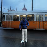 lollostriano profile picture